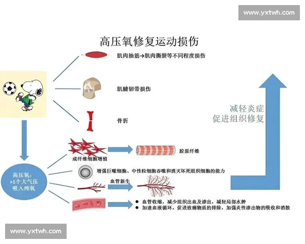 基于运动损伤康复的系统化训练与功能恢复研究 基于运动损伤康复的系统化训练与功能恢复研究